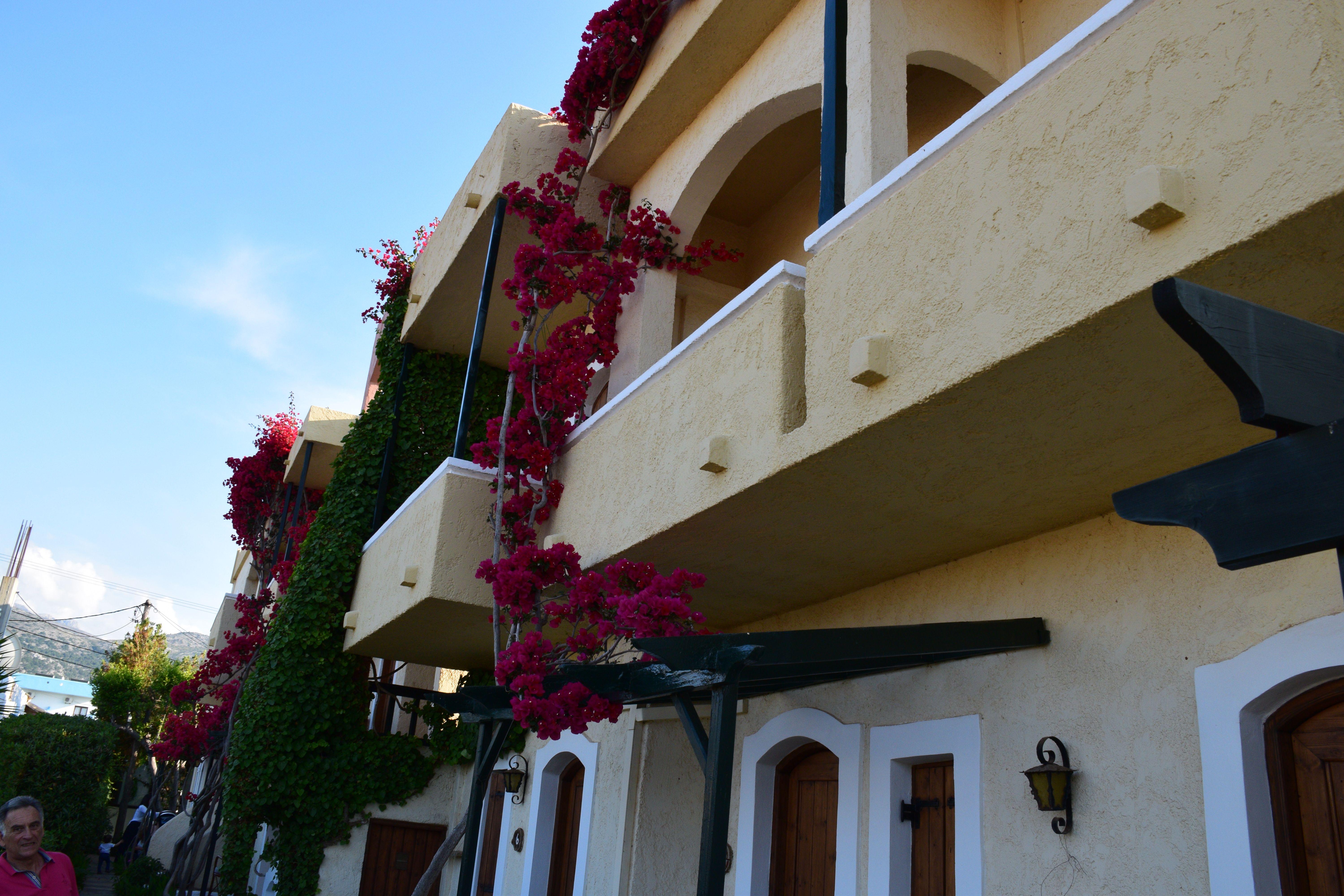 Mila Malia Studios Hotel エクステリア 写真