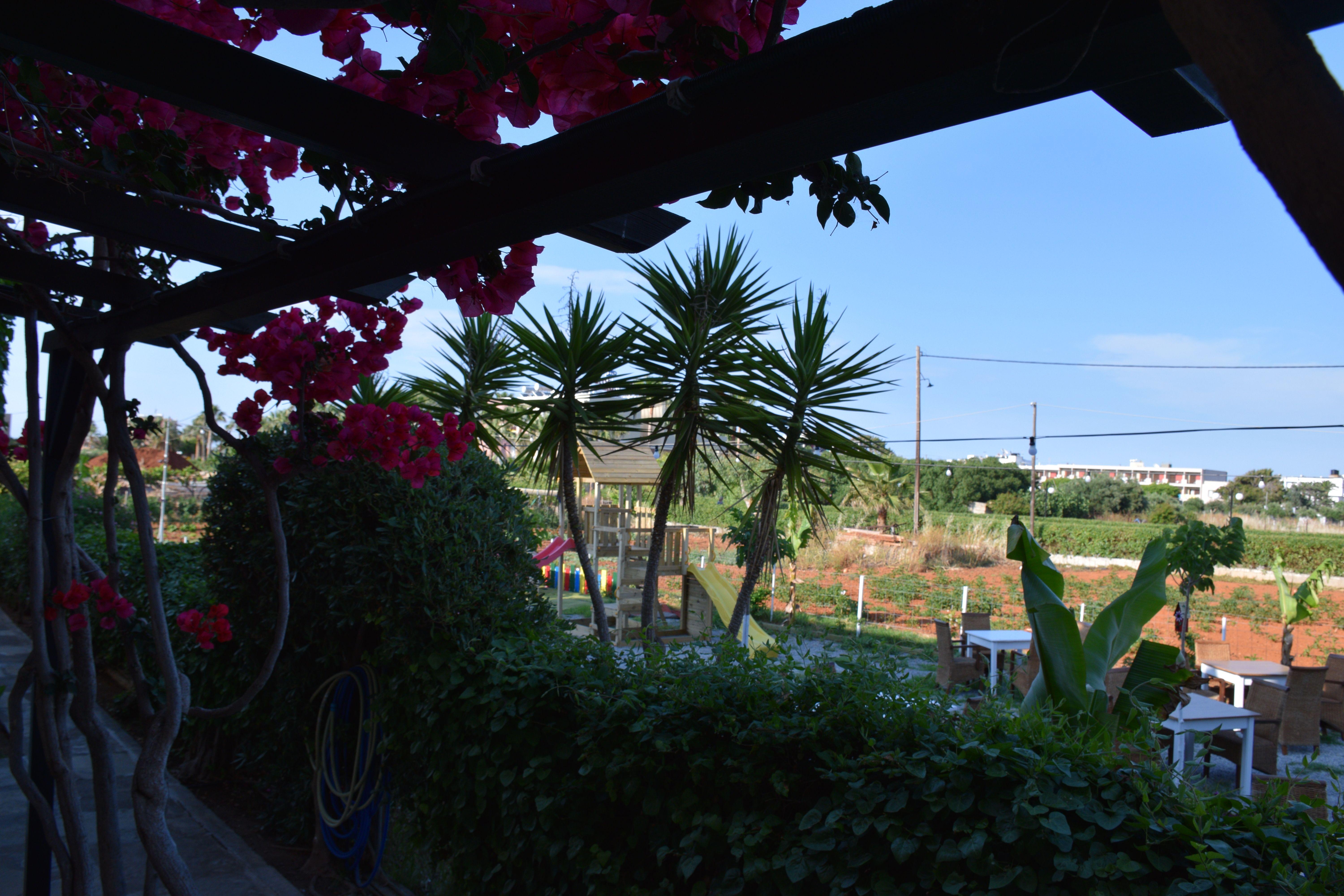 Mila Malia Studios Hotel エクステリア 写真