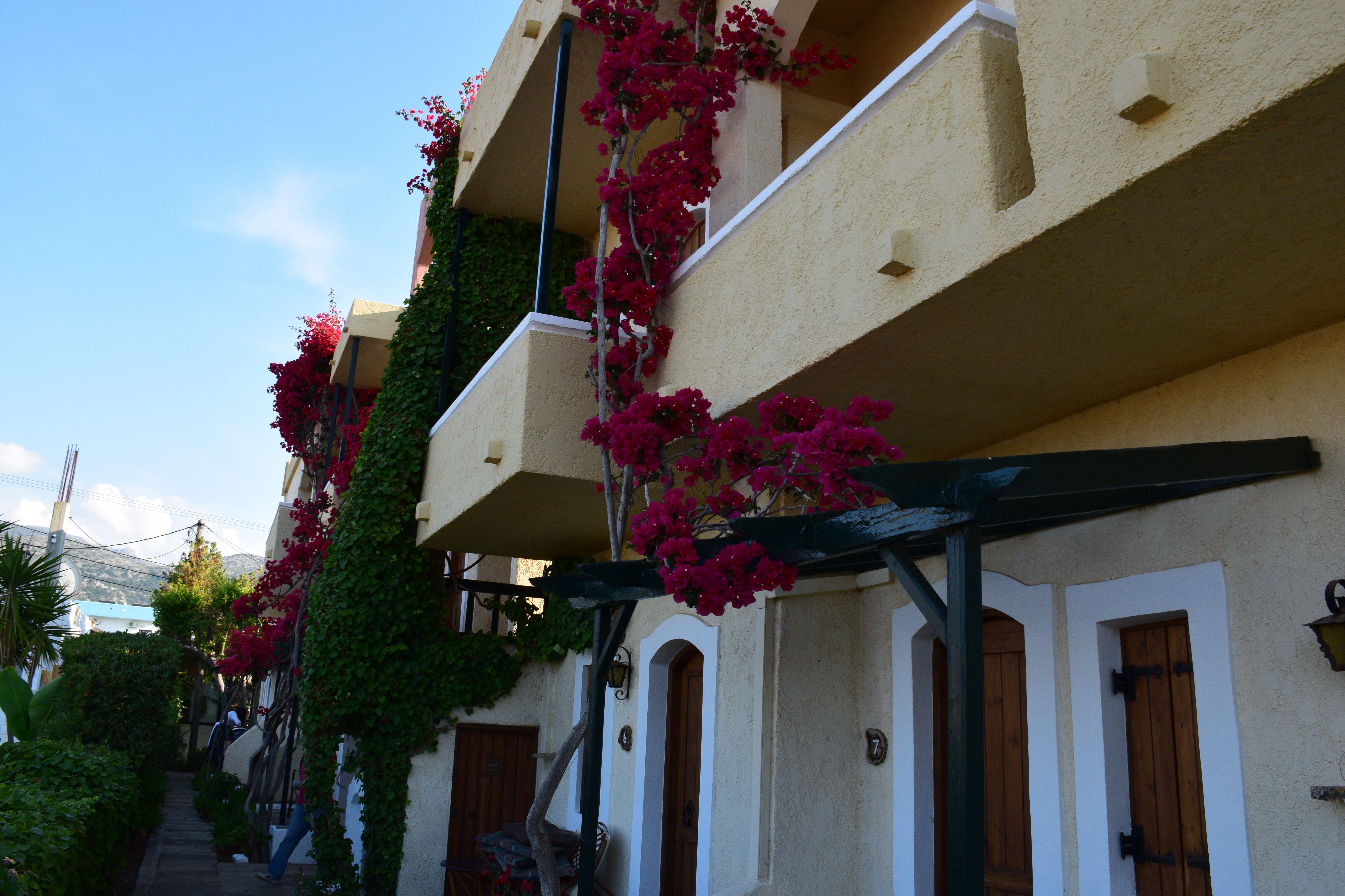 Mila Malia Studios Hotel エクステリア 写真
